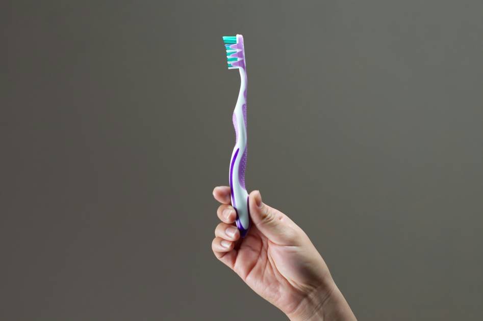 Blog team testing durable dental chew toys for pets