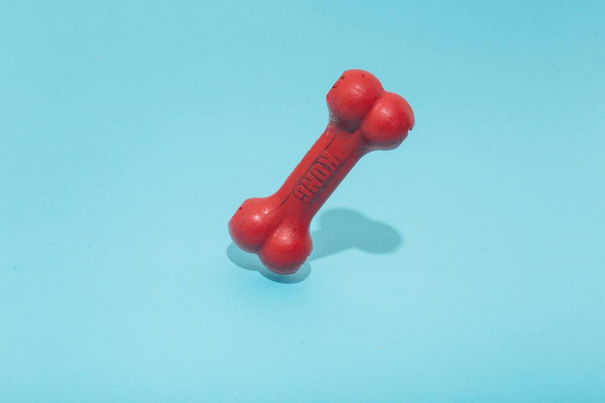 Infographic showing how heat and saliva accelerate BPA leaching from pet dental toys into a dog's system